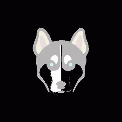 a black background with a gray and white dog's face