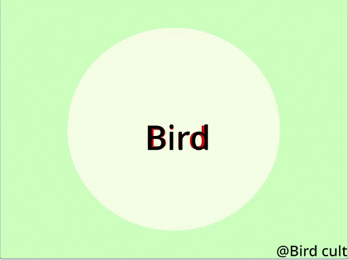an illustration of a white circle with words bird
