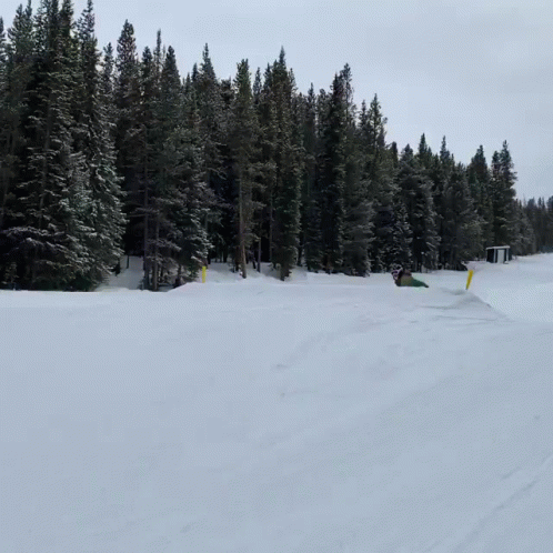 skiers moving down a ski slope past pine trees