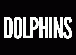 the logo for dolphins, a new surfboarding program