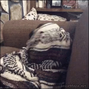 a woman wrapped up in blankets while watching tv