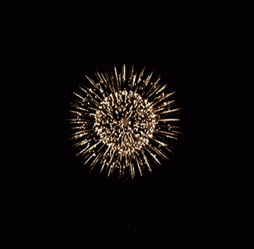 colorful fireworks displayed at night time in the dark