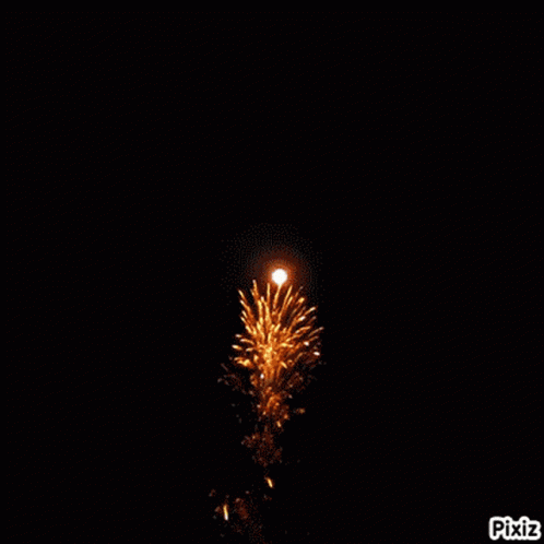 a fireworks is lit up at night in the dark