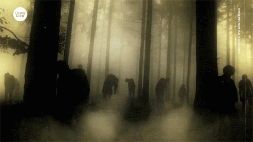 silhouette of people walking through a dark forest