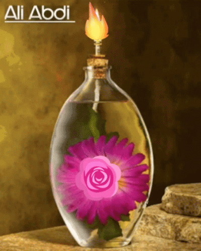 a purple flower inside of a clear bottle on a rock ledge