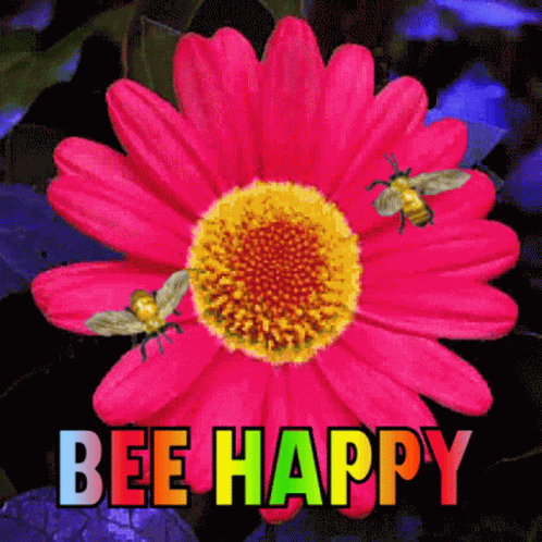 a picture with text on it says bee happy