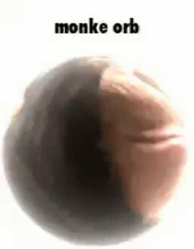 a pograph with the text'monkey orb'and a ball inside it