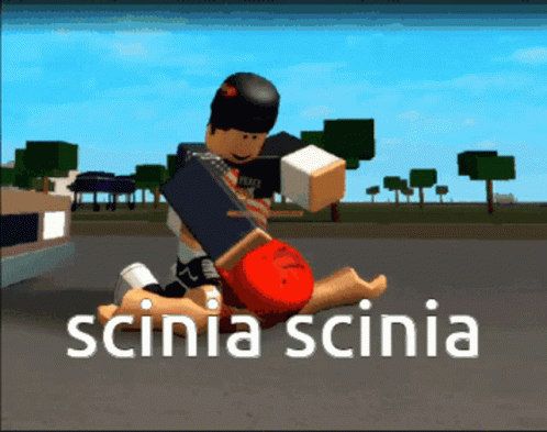 a stylized image of a person playing the game sciniascnia