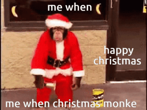 the monkey in the santa hat is sitting on the curb