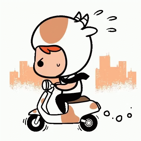 a picture of a person on a scooter