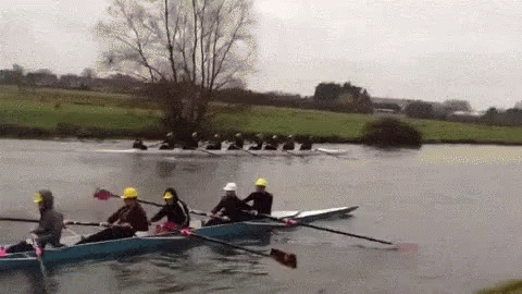 a group of rowers on a body of water