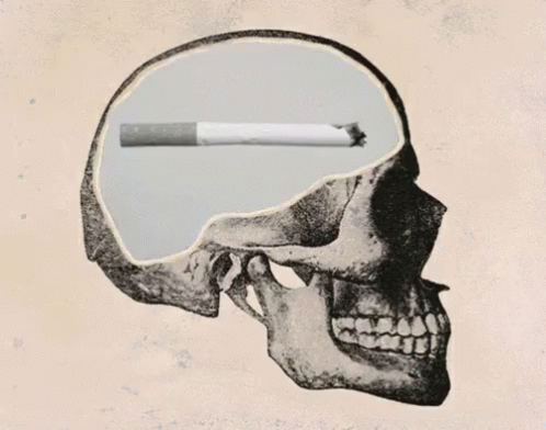 a cigarette coming out of an ashtray in the form of a skull