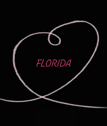 a computer screen with a black background that shows florida