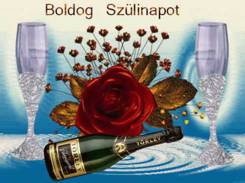 an elegant scene with roses, champagne and a bottle of vodka