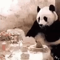 a black and white panda bear leaning against a wall with food on the table