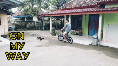there is a small cat that is running toward the guy on his bike