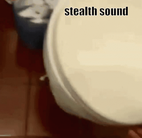 the word stealth sound written on the lid of a toilet