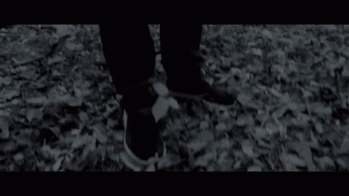 black and white po of legs and shoes in leaves
