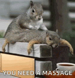 two squirrels sit on top of one another with the caption'you need a massage here '