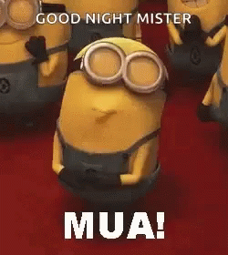 a minionsnized minion from the movie'the despicables'with captioning,'good night mister mua '