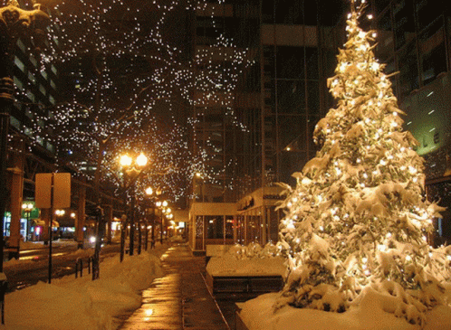 a lighted christmas tree sitting next to a curb