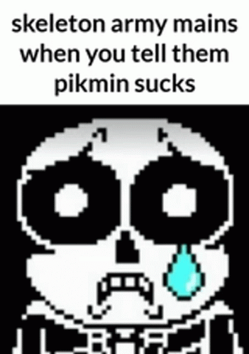 a white, pixel - like image with an expression saying skeleton army maintains when you tell them pikmn sucks