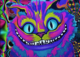 a psychedelic cat has a weird grin in his mouth