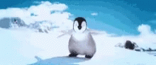 a penguin stands alone in the snow