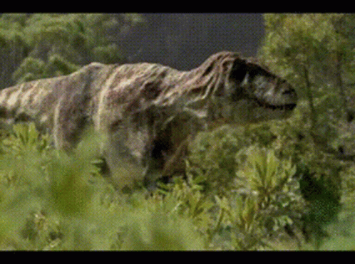 a large dinosaur is walking around the green brush