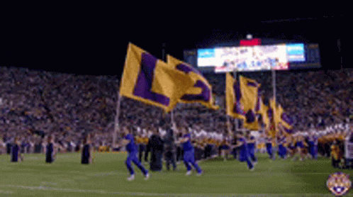 many fans are in the stadium as one football player carries a flag