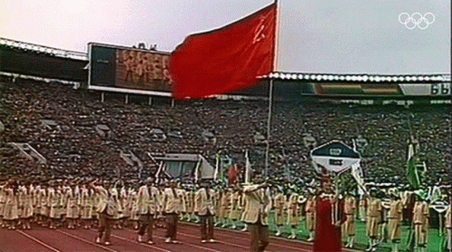 a parade at the olympic games has a flag that is in a stadium