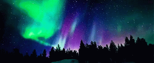 the aurora bore lights up the sky over a field