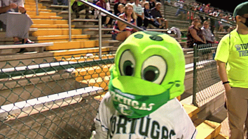 a green stuffed animal in a green hat and green shirt, standing in front of a fence