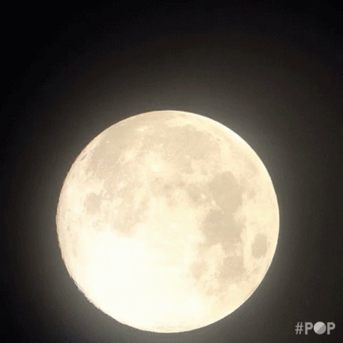 the large full moon is visible in the night sky