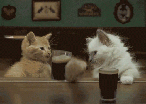 two white cats drinking from cups with handles