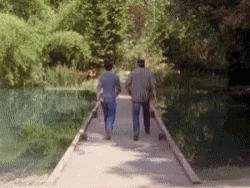 a couple of people walking on a dock with trees