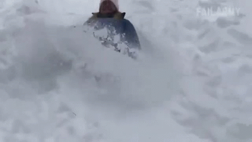 two skiers are seen in the powder
