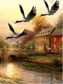 three birds flying over a river with houses