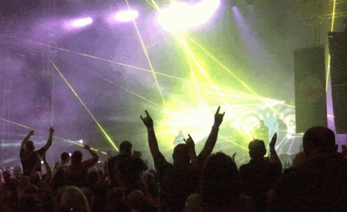 a crowd of people standing under lights at a concert