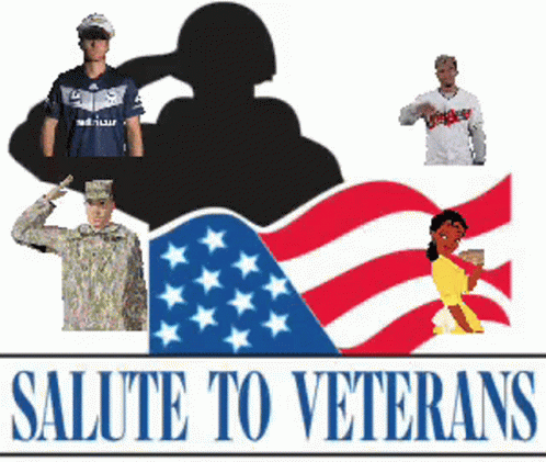the salute to veterans logo with various images
