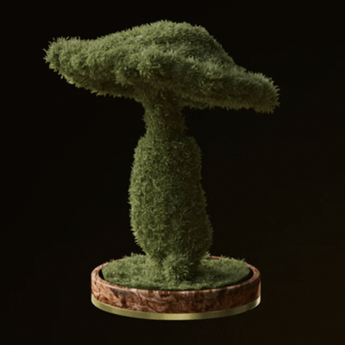 a moss sculpture on a round stand