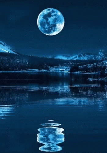 the full moon rises over a lake in the wilderness