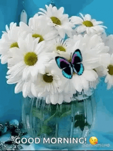 a bunch of daisies that are in a vase