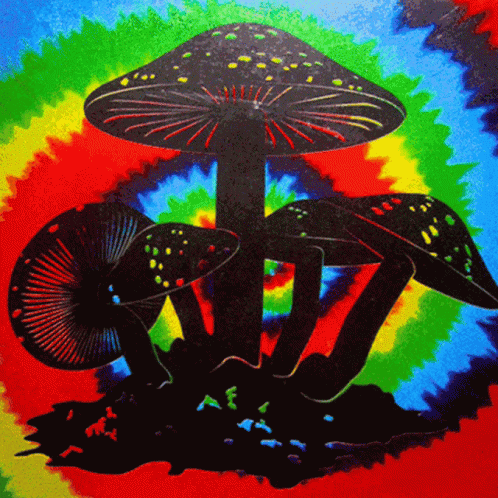 a painting of several mushrooms on colorful tie - dyed paper