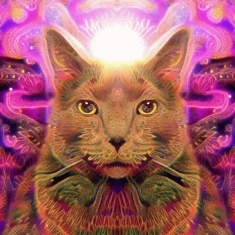 a cat sits on a colorful psychedelic background