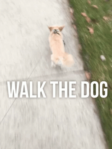 a dog walking down the sidewalk with the words walk the dog on it
