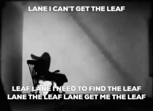 the text in a screen saying lame i can't get the leaf