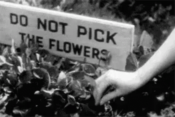black and white image of a woman holding a sign with a saying on it