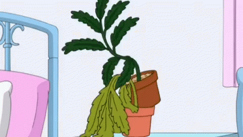 a plant in a blue plastic bucket with a green leafy plant in a pink metal bed frame