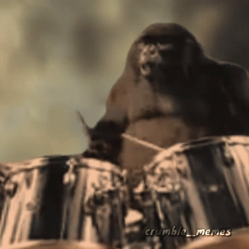 a black bird is sitting on the drums